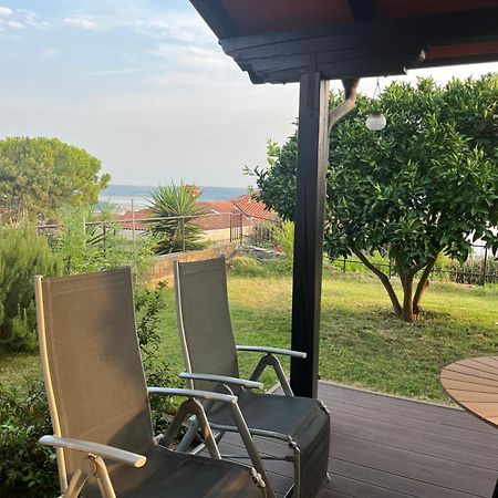 Apartment Orange Tree Порторож Екстериор снимка